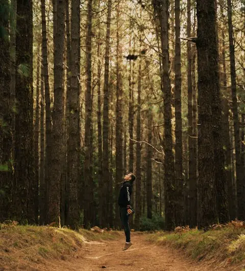 Mann steht zwischen Bäumen und atmet sichtbar tief ein